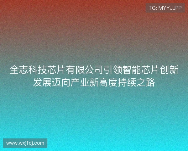 全志科技芯片有限公司引领智能芯片创新发展迈向产业新高度持续之路